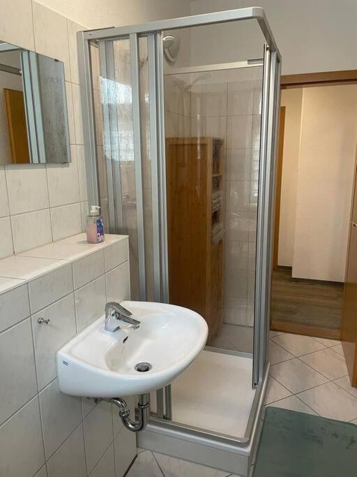 Ferienwohnung 3S Real Estate Freiberg Dış mekan fotoğraf